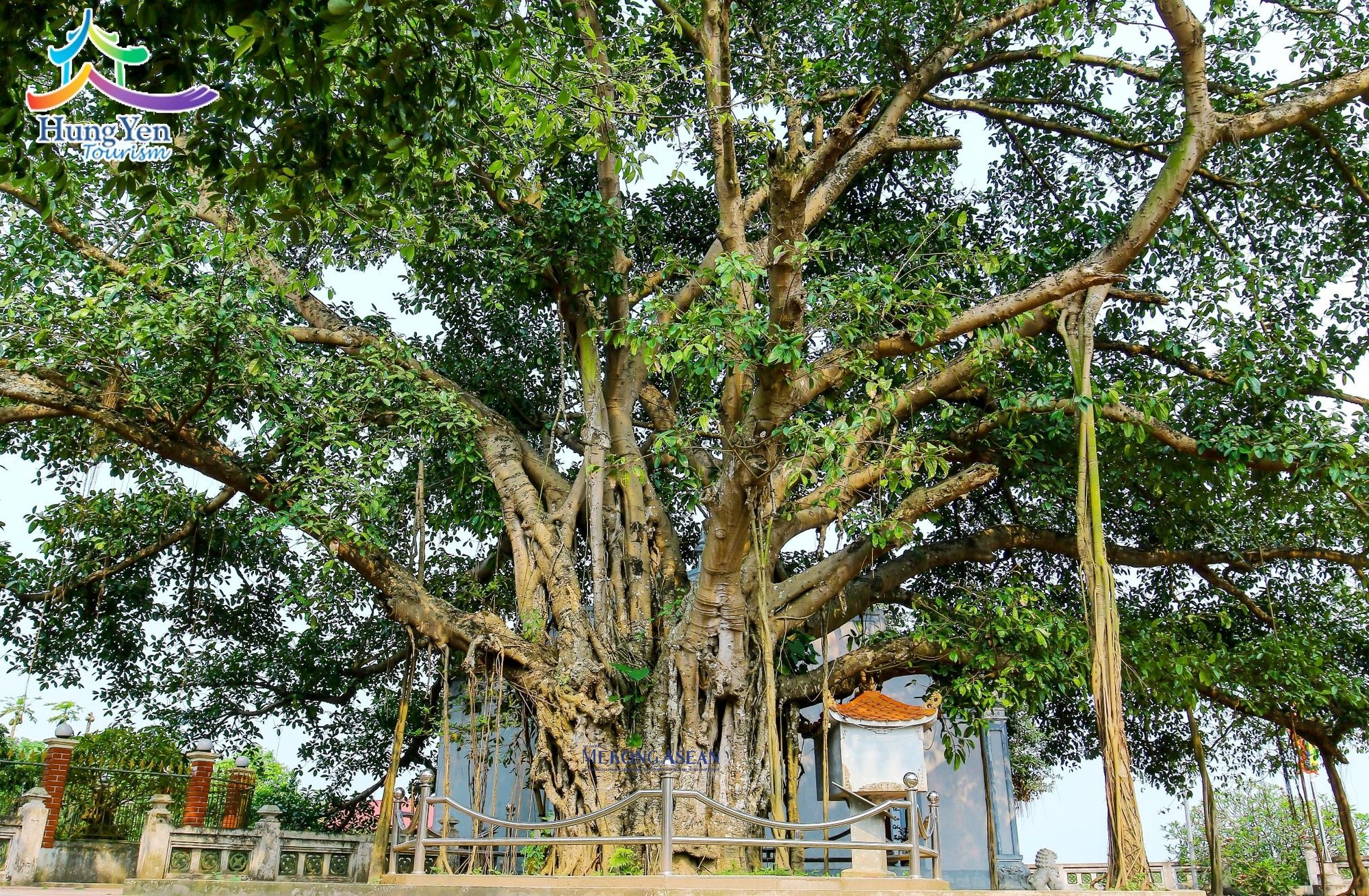 Di tích địa điểm cây đa và đền La Tiến (huyện Phù Cừ) - nơi ghi dấu chiến công của quân và dân ta trong cuộc kháng chiến chống thực dân Pháp